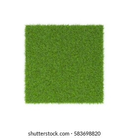 Square Of Fescue Grass Field Over White. Top View. 3D Illustration