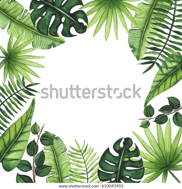 熱帯の葉とテキスト用のスクエアフレーム 水色 のイラスト素材