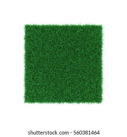 Square Of Kentucky Bluegrass Grass Field Over White. 3D Illustration