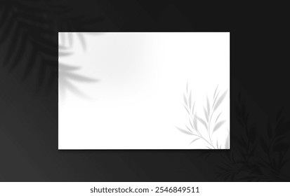 Square Paper Mockup black and white color with realistic shadows overlays leaf. Shadow Of A Tropical Plant. Template Flyer, Poster, blank, social media post, logo template in a trendy style .
