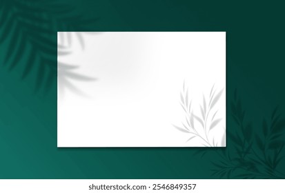 Square Paper Mockup green and white color with realistic shadows overlays leaf. Shadow Of A Tropical Plant. Template Flyer, Poster, blank, social media post, logo template in a trendy style .
