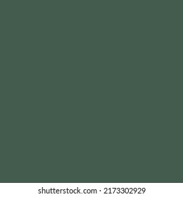 Square Solid Dark Green Color Pallet