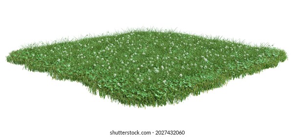 1,022 Clover Patch Images, Stock Photos & Vectors | Shutterstock