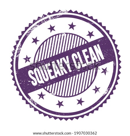 SQUEAKY CLEAN text written on purple indigo grungy zig zag borders round stamp.