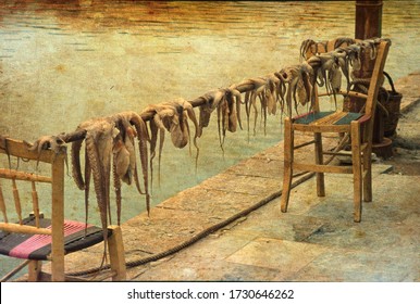 Squid or octopuses hanging to dry between two chairs in a small fishing village at an island in Greece. Image made like an old vintage painting.