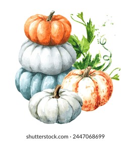 Stack of pumpkins, Hand drawn watercolor illustration, isolated on white background