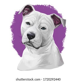 Staffie Stock Illustrations, Images & Vectors | Shutterstock