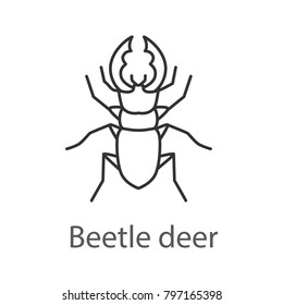 Stag Beetle Linear Icon. Bug. Lucanus Cervus. Thin Line Illustration. Contour Symbol. Raster Isolated Outline Drawing