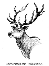 Stag Deer Head. Ink Black And White Drawing