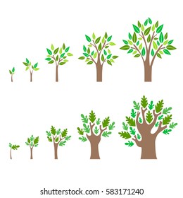 Stage Growth of a Tree Set. Concept Development Flat Design Style. illustration