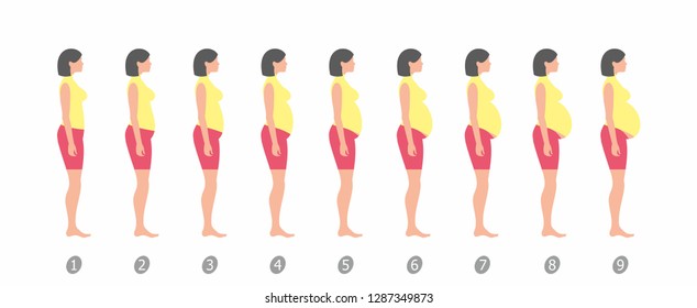 Stages Changes Womans Body Pregnancy On Stock Illustration 1287349873 ...