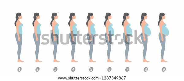 Stages Changes Womans Body Pregnancy On Stock Illustration 1287349867 ...