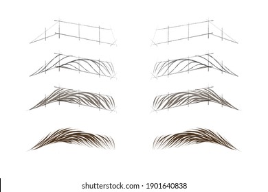 Stages of drawing eyebrows. Drawing hairs on the eyebrows. Hair method of tattooing. Microblading scheme. Training material for the tattoo artist. Eyebrow hair styling scheme. Natural tattoo