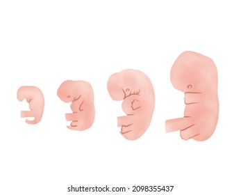 1,784 2 month pregnant Images, Stock Photos & Vectors | Shutterstock