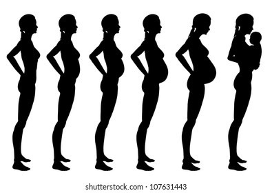 Stages of pregnancy of the woman. A profile full growth it is isolated on a white background