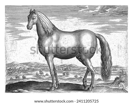 Stallion from Anatolia, Adriaen Collaert, after Jan van der Straet, c. 1583 - c. 1587 An Anatolian stallion in profile. Stock foto © 