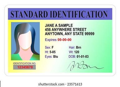 Standard Identification Card Isolated On White Stock Illustration ...