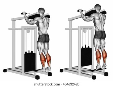 Standing Calf Raises. 3D Illustration