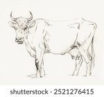 Standing cow (1828) by Jean Bernard (1775-1883). Vintage standing cow art drawing, Sketch of standing cow, old Jean Bernard