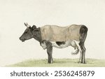 Standing cow with blanket (1816) by Jean Bernard (1775-1883). Animal illustration. Vintage cow cattle farm animal art drawing illustration, old painting art print of animal cow cattle.