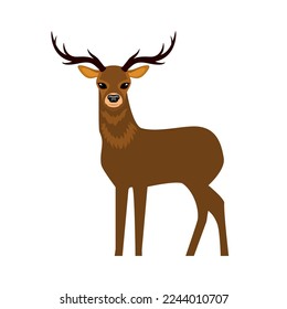 Standing cute brown deer side view illustration  Deer icon isolated white background  Forest animal drawing