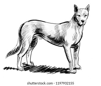 Standing Dog Ink Black White Illustration Stock Illustration 1197932155 ...