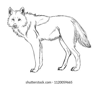 Vector Sketch Illustration Fox Black White Stock Vector (Royalty Free ...