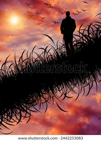 Similar – Image, Stock Photo Mute wire Nature Sky