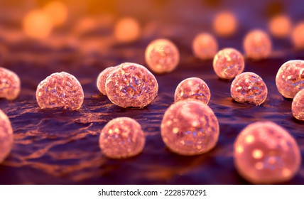 Staphylococcus bacteria, Enterococcus, Streptococcus, spherical bacteria, Staphylococcus aureus, S. epidermidis and other cocci, 3D illustration