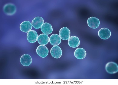 Staphylococcus bacteria, a genus of Gram-positive bacteria known for causing various infections in humans, 3D illustration.