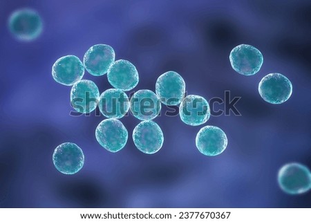 Staphylococcus bacteria, a genus of Gram-positive bacteria known for causing various infections in humans, 3D illustration.