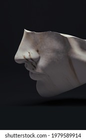 Statue Head Cut In Half With Marble Texture On Black Background; 3D; 3D Illustration