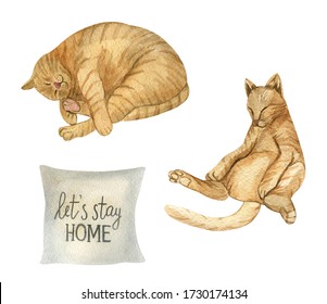 Stay at home watercolor illustration. Self isolation, quarantine due to corona virus. Watercolor illustration of  cat  sleeping at home