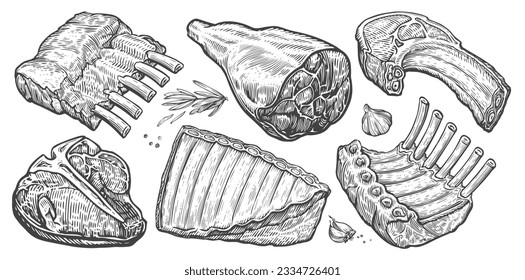 Steak, ribs, ham, bacon illustration. Cuts of raw farm meat set. Hand drawn sketch engraving style - Powered by Shutterstock