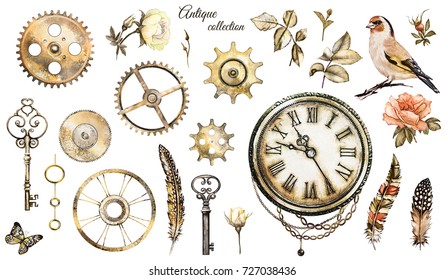 steam punk watercolor Illustration     roses  clock  clockwork  keys  feathers  jewelry  chain   bird  Flowers  tattoo style  set isolated white background  vintage collection