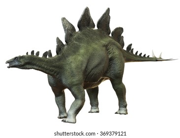 Stegosaurus