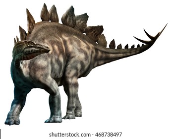 Stegosaurus の画像 写真素材 ベクター画像 Shutterstock