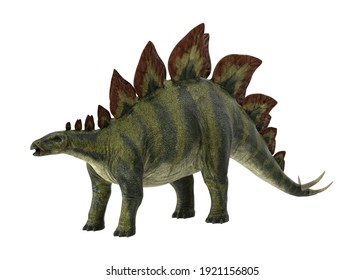 ステゴサウルス High Res Stock Images Shutterstock