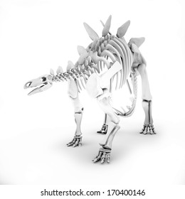 Stegosaurus Skeleton 3d render isolated. Illustration