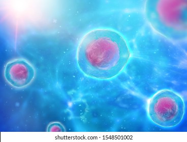 Stem Cell With Protein Cluster