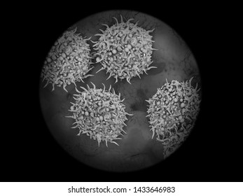 Stem Cells In Cell Environment In Microscope View  - 3D Medical Illustration