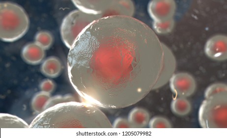 Stem cells. Cellular therapy.3D render, Illustration