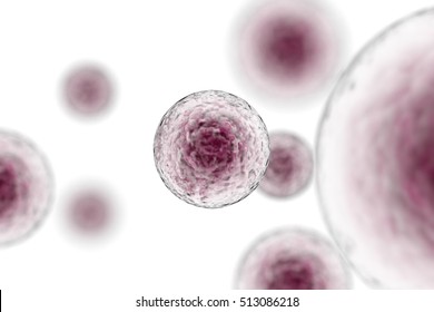 Stem Cells Immunotherapy 