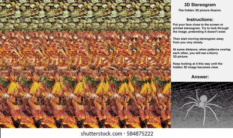 Stereogram illusion with spider on  web in hidden 3D picture