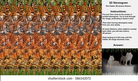 Stereogram illusion with two tigers in hidden 3D picture