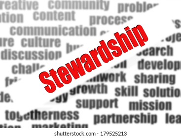 Stewardship Word Cloud