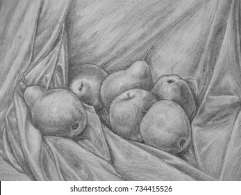 Still Life and apple   pear  Pencil drawing