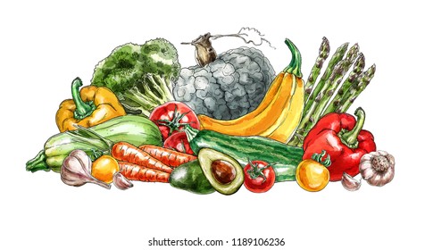 Still life and different hand  drawn vegetables  Digital watercolor  Sketch style 