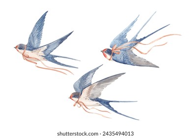 Stock illustration with watercolor hand drawn swallow martin birds. Clip art.