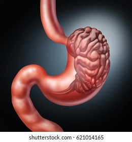 Stomach Brain And Enteric Nervous System Symbol Or Gut Feeling Concept As A Human Digestion And Thinking Organ As An Icon Of Digestion Disorder And Food Craving With 3D Illustration Elements.